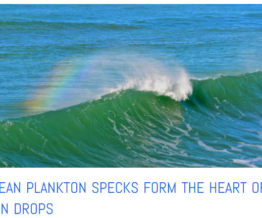 article thumbnail